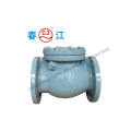 JIS Standard Cast Iron Check Valve (JIS-10K)